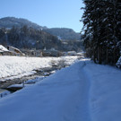 IMG_7114_jpg-1360576012