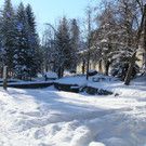 IMG_7140_jpg-1360576097