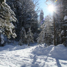 IMG_7198_jpg-1360576159
