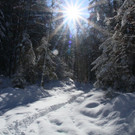 IMG_7219_jpg-1360576223