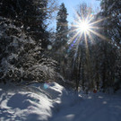 IMG_7225_jpg-1360576243