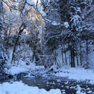 IMG_7243_jpg-1360576266
