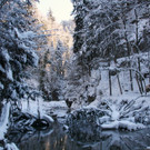 IMG_7246_jpg-1360576288