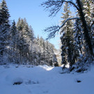 IMG_7252_jpg-1360576331