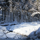 IMG_7262_jpg-1360576353