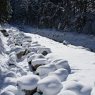 IMG_7295_jpg-1360576450