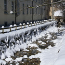IMG_7301_jpg-1360576502