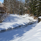 IMG_7330_jpg-1360576630
