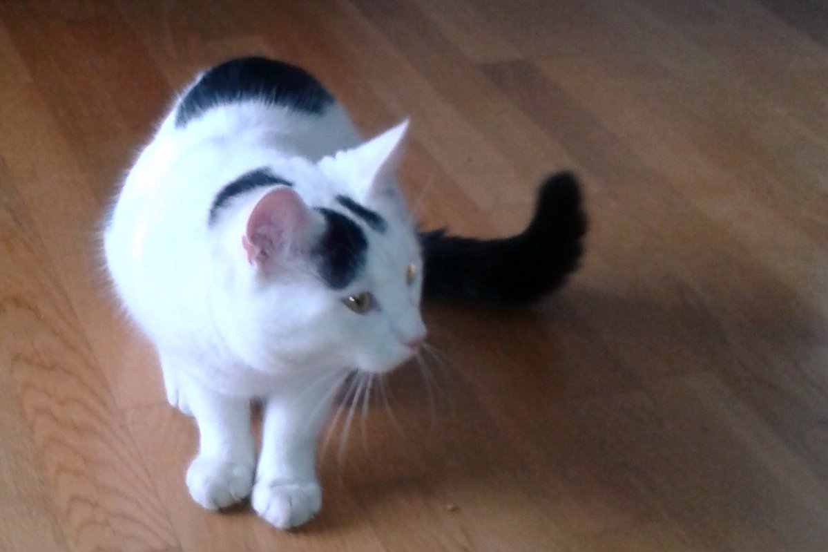 2013-02-11 10_36_50_jpg-1360591651