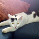 2013-02-11 13_40_14_jpg-1360591654