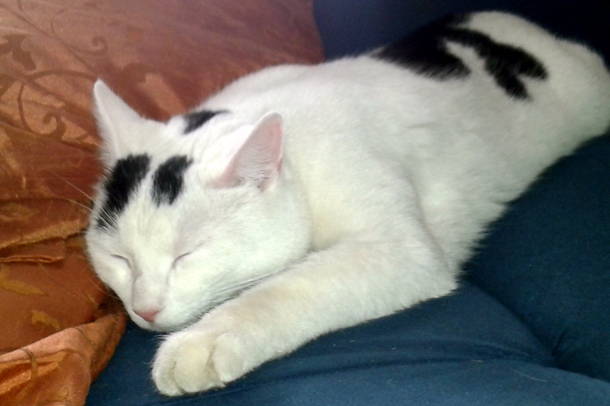 2013-02-11 13_42_03_jpg-1360591656