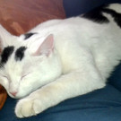 2013-02-11 13_42_03_jpg-1360591656