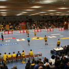 IMG_2723_JPG-1360592299