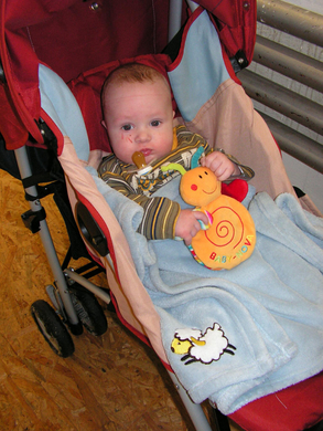 fasching201021.jpg