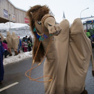 DSC06830.JPG
