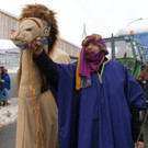 DSC06831.JPG