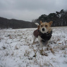 Attila im Maurer Wald, 13.1.2013