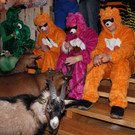 IMG_1927_JPG-1360607652