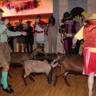 IMG_1933_JPG-1360607725