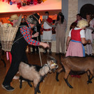 IMG_1935_JPG-1360607744