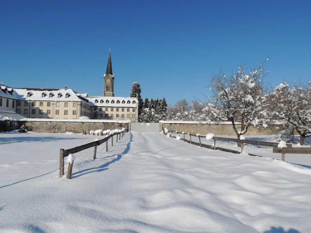 DSCN0147_JPG-1360627861