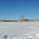 DSCN0039_JPG-1360627826