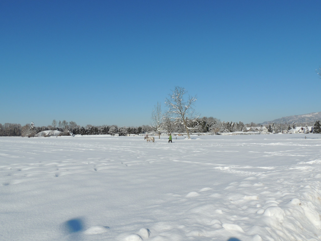 DSCN0039_JPG-1360627826