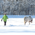 DSCN0045_JPG-1360627831