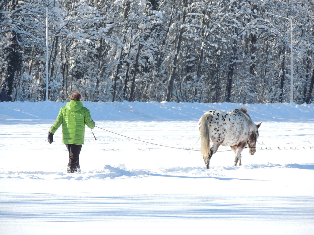 DSCN0045_JPG-1360627831