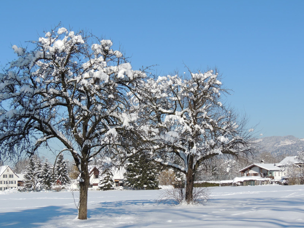 DSCN0056_JPG-1360627835