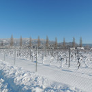 DSCN0059_JPG-1360627843