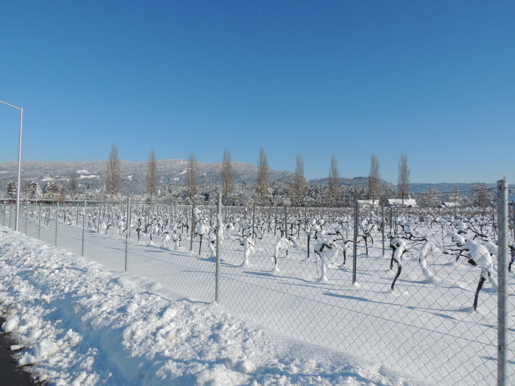 DSCN0059_JPG-1360627843