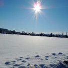 DSCN0069_JPG-1360627848