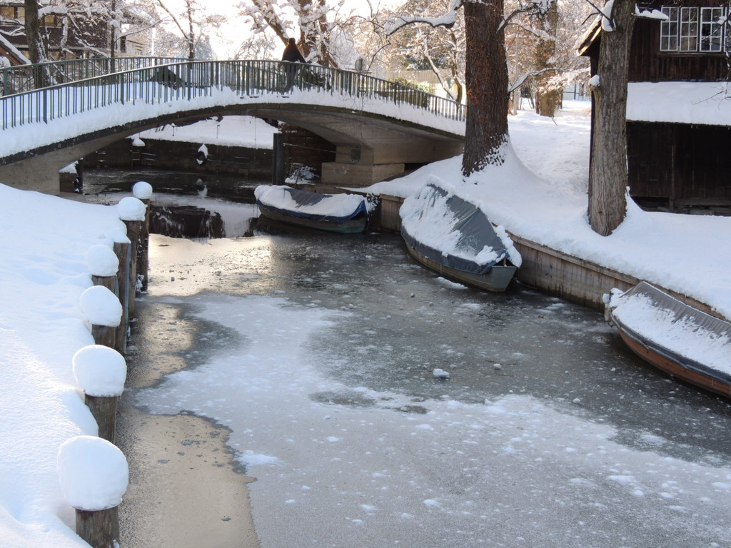 DSCN0660_JPG-1360627886