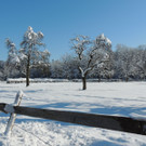 DSCN0126_JPG-1360627857