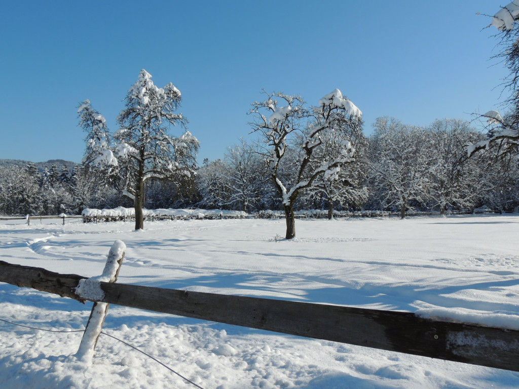 DSCN0126_JPG-1360627857