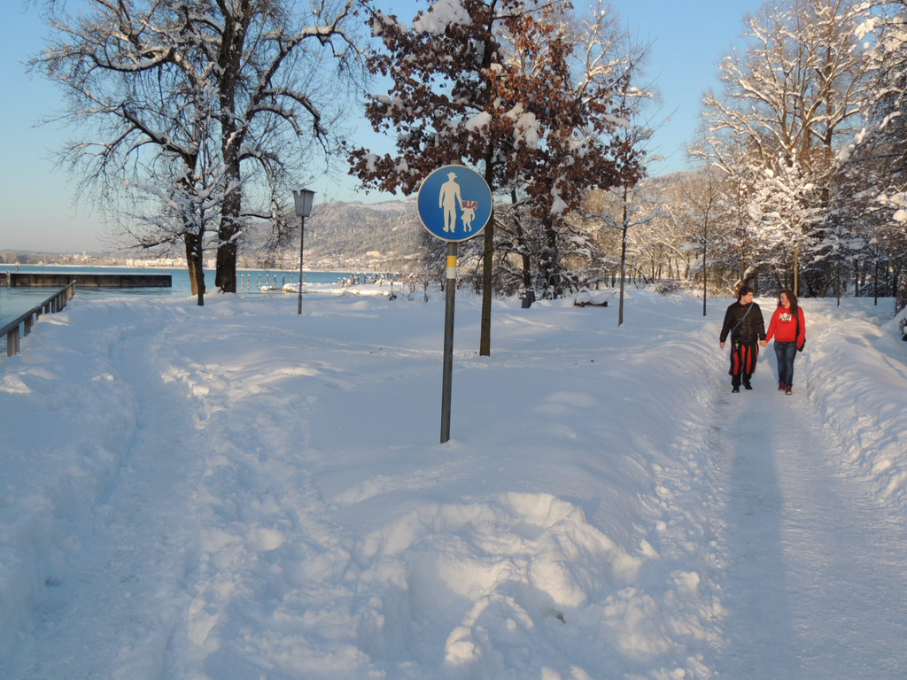 DSCN0684_JPG-1360627890