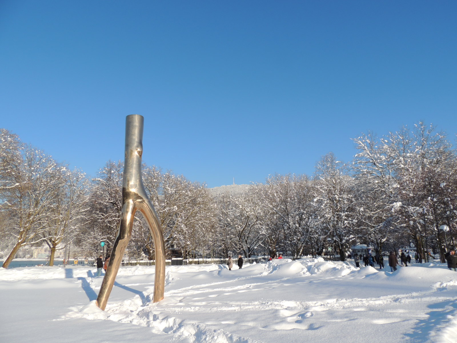 DSCN0387_JPG-1360627865