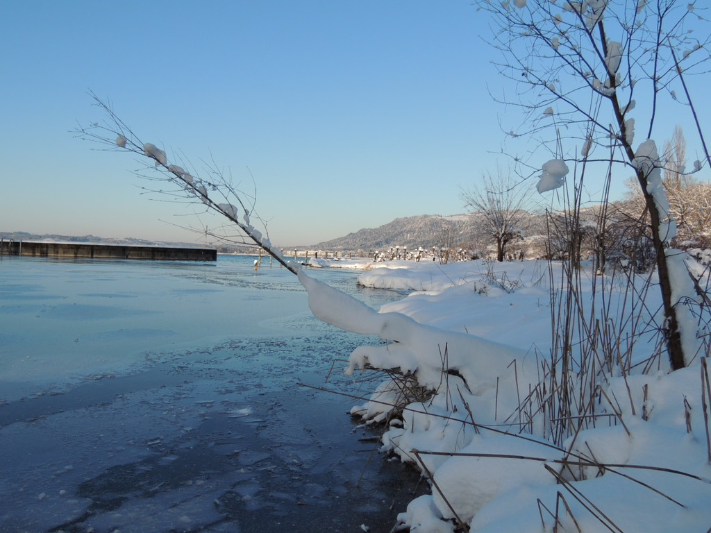 DSCN0587_JPG-1360627869