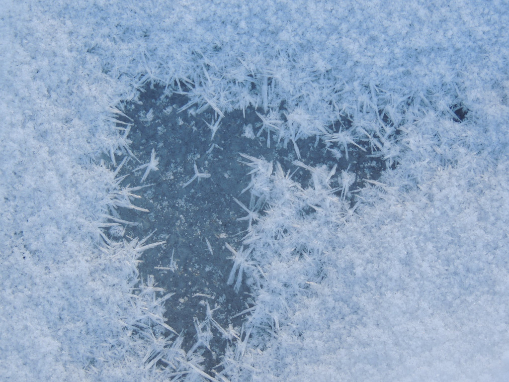 DSCN0590_JPG-1360627873