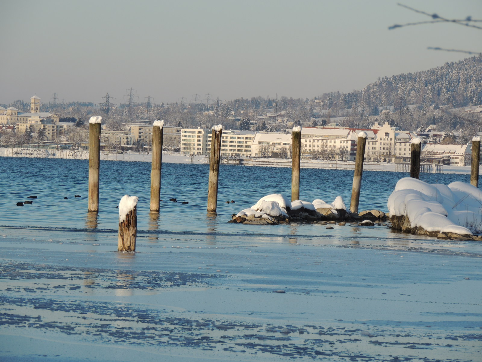 DSCN0595_JPG-1360627877