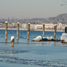 DSCN0595_JPG-1360627877