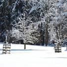 DSCN0080_JPG-1360627853