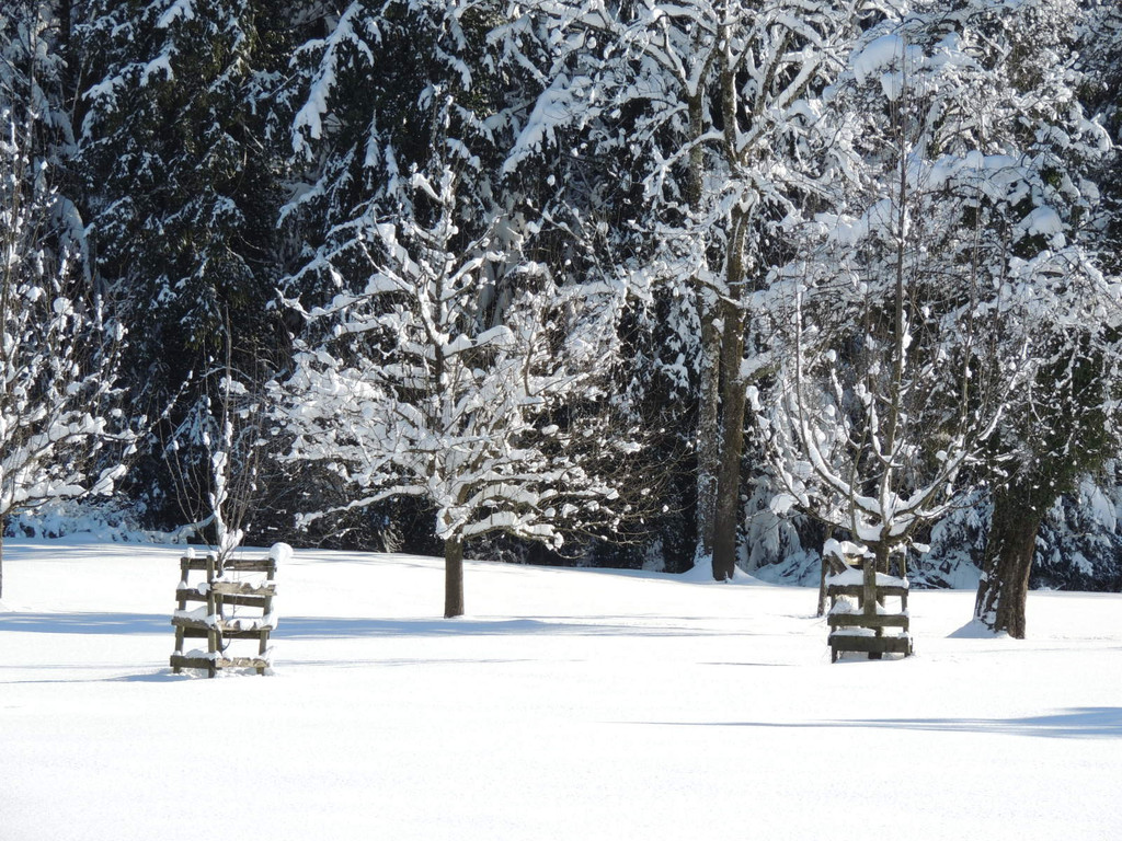 DSCN0080_JPG-1360627853