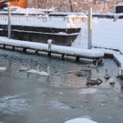 DSCN0879_JPG-1360627902