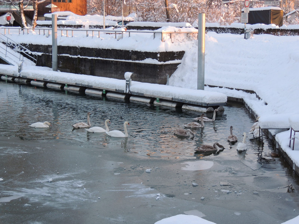 DSCN0879_JPG-1360627902