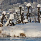 DSCN0605_JPG-1360627882