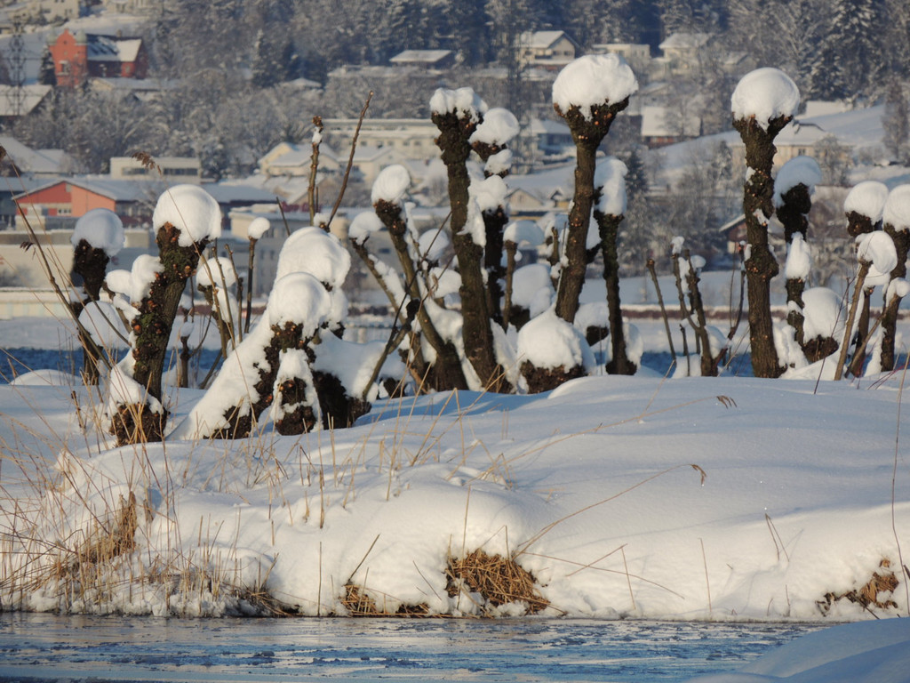 DSCN0605_JPG-1360627882