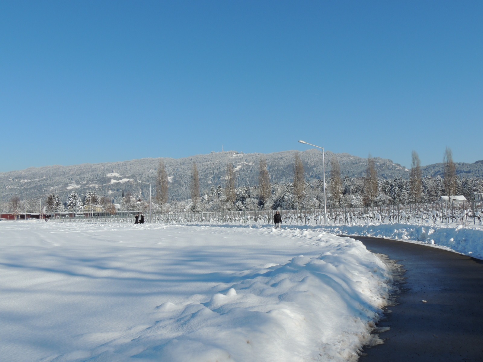 DSCN0058_JPG-1360627839