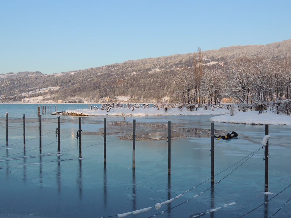 DSCN0790_JPG-1360627894